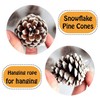 Pine Cone Christmas Tree Decorations, POTWPOT 20Pcs Snow Pine Cones
