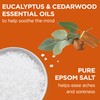 Dr Teal's Epsom Salt Magnesium Soak, Cozy Fireside, 3 lbs