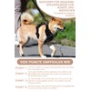 BaoCheng Anti-Pull Dog Harness, Small/Medium/Large Dogs, Breathable Mesh, Easy to