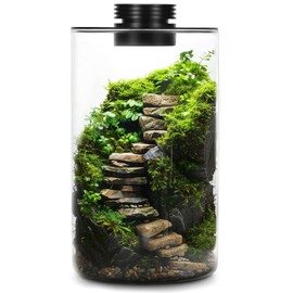 Desktop Glass Plant Terrarium with Grow Light - Planter for Succulent Moss Miniature Gardening Landscape, Fish Tank Indoor Plant Growth Office Home Decoration Plant Lovers Gifts