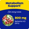 Enzymedica Berberine 800 mg – Vegan Capsules for Metabolic Support