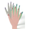 Turner acrilico guazzo 12 colori set scuola (Giappone importazione)