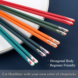 SUPJOYES 5 Pairs Fiberglass Chopsticks - Reusable Japanese Chopsticks Dishwasher Safe, Colorful Chopsticks Gift Set with Different Asian Pattern, Non-Slip Chop Sticks