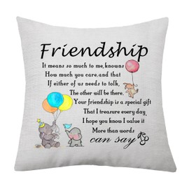 aligarian Best Friend Cushion Cover Friendship Pillow Case Gift Friend Throw Pillow Covers for Women Girls Bestie Cushion Cover Gift Best Friend Birthday Christmas (Say)