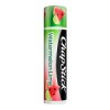 ChapStick Bulk Lip Balm, Watermelon Lime, 6-Pack