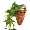 Kijapan 163701 Clematis Wall Hanging (W x D x H):