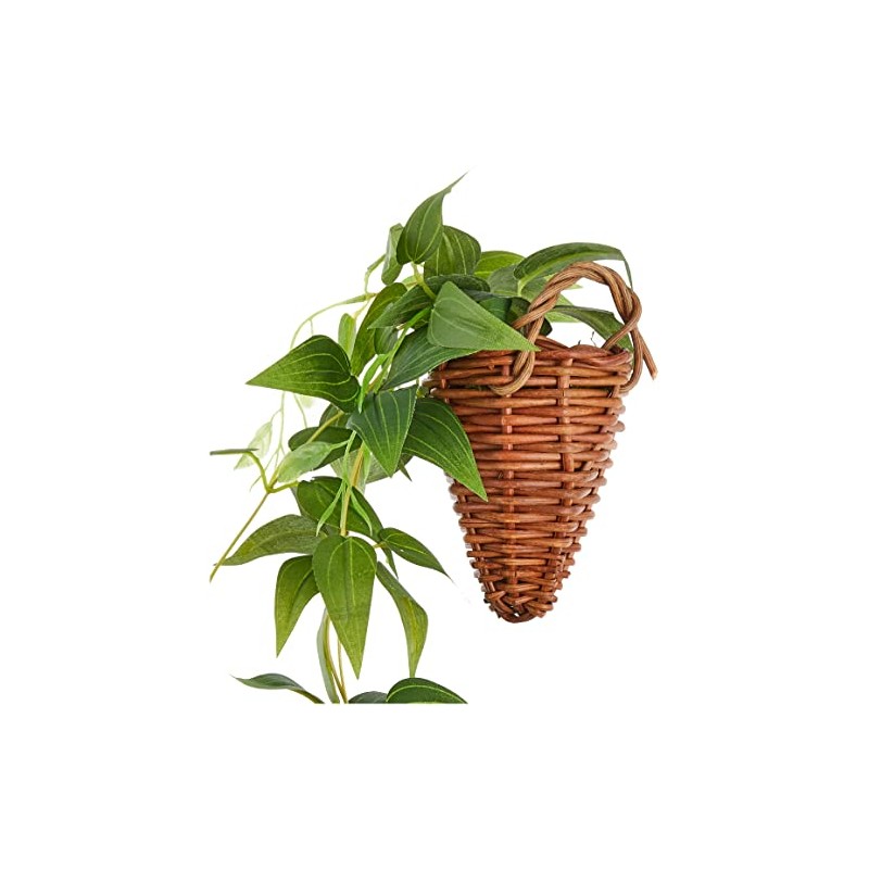Kijapan 163701 Clematis Wall Hanging (W x D x H):