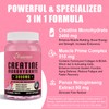 Creatine for Women, with Hydrolyzed Collagen, BCAA(2:1:1) & Panax Notoginseng