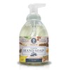 Nature's Oil Foaming Hand Soap, Warm Vanilla Sugar, 10 Fluid Ounces (Single Unit)