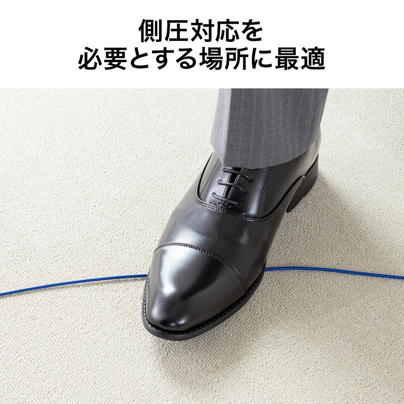 Sanwa Supply HKB-AM1SCSC1-05 Armored 1-Core Fiber Optic Cable (Single Mode,