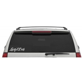 Liberty Or Death III Protect Our Rights Vehicle Decal Home Decor Sticker (3" T x 10" L)