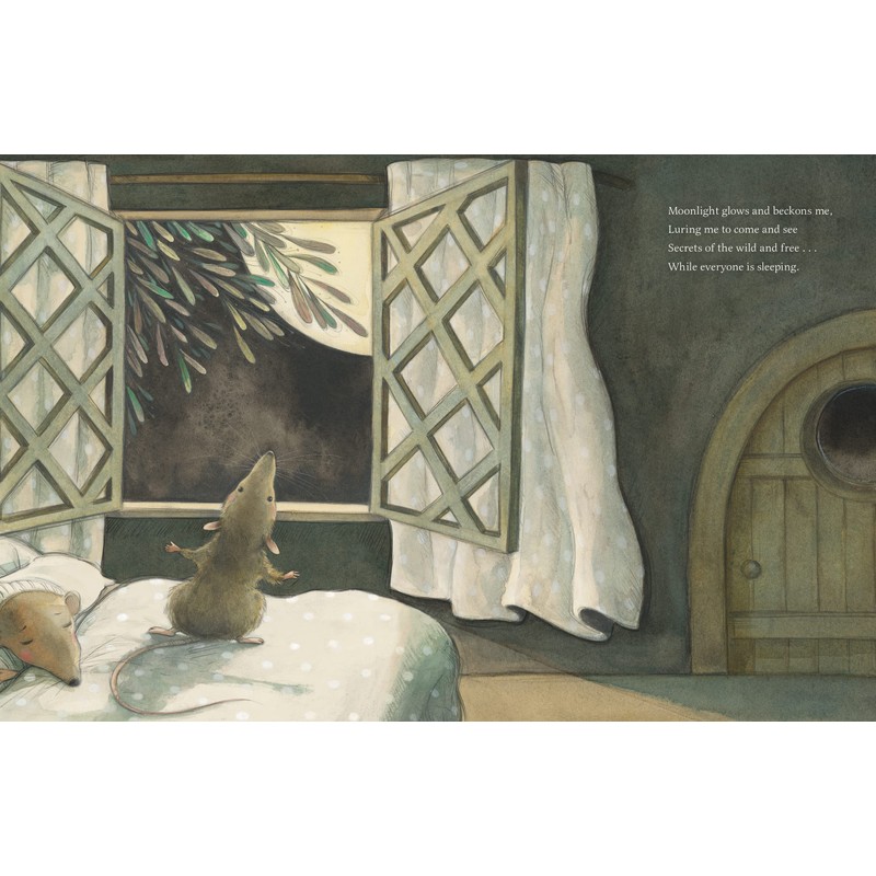 While Everyone Is Sleeping