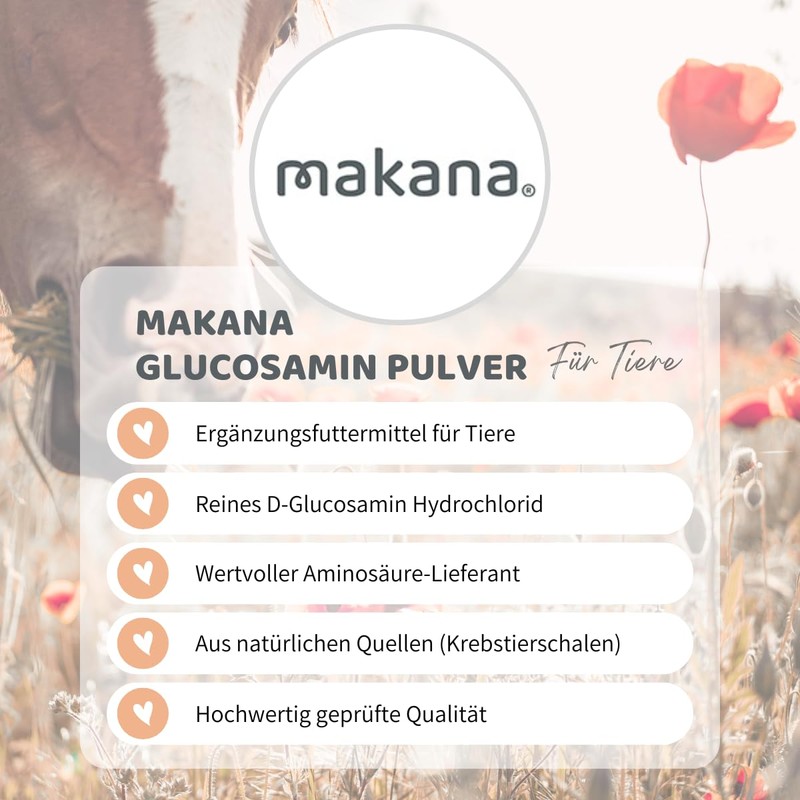 Makana Glucosamine HCL Powder, 500 g (0.5 kg) Bag