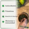 Plant People- Kids WonderGreens Super Veggie Gomitas para niños (30