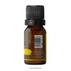 Aceite Esencial de Jengibre 100% Puro | Zingiber officinale |