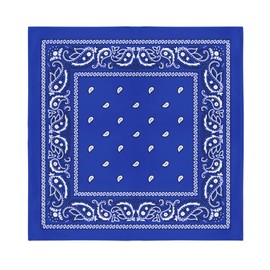 Mechaly Multifunctional 12 Pack Dozen Cotton Paisley Bandanas (Royal Blue)