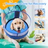 BARKLESS Dog Cone, Dog Donut Collar After Surgery, Inflatable Dog