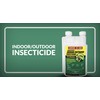 Compare-N-Save 7.9% Bifenthrin Concentrate for Insect Control, 8-ounce