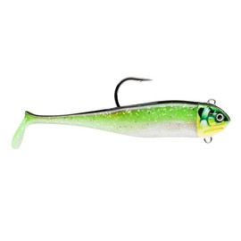 Biscay Minnow 16-73G CGR