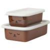 Fuji Horo Shallow Square Container, Storage Container, Set of 2,