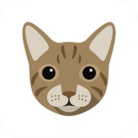 Divine Designs Cute Ocicat Kitty Cat Vinyl Decal Sticker (8" Wide)