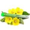 Herbal Diffuser Pen, Detox Diffuser with Mullein, Thyme & Mint