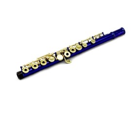 Sky Open Hole C Flute with Lightweight Case, Cleaning Rod, Cloth, Joint Grease and Screw Driver (Blue/Gold Open)