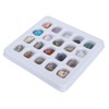 20pcs Rock Stone Colletction Kit for Boys Girls Exquisite Science