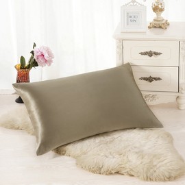 ALASKA BEAR Natural Silk Pillowcase, Hypoallergenic, 19 Momme, 600 Thread Count 100 Percent Mulberry Silk, Queen Size with Hidden Zipper (1, Taupe)