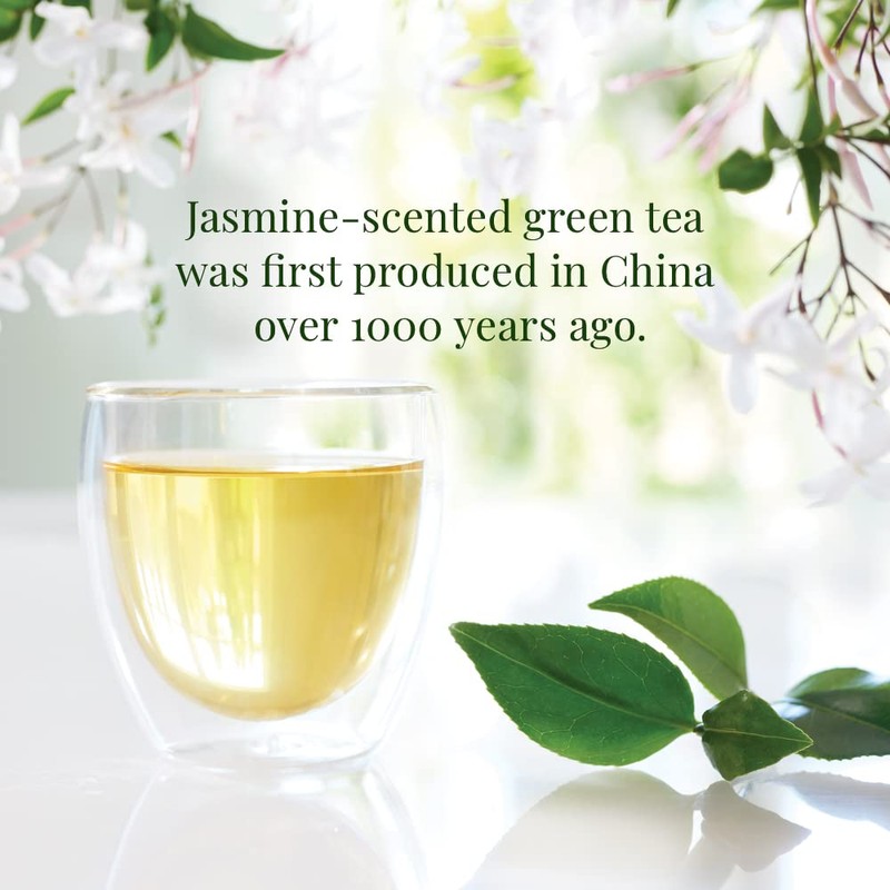 The Republic of Tea - Organic Jasmine Green Tea, 50