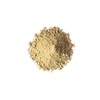 Food to Live Organic Toasted Pumpkin Seeds Protein Powder, 8