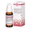 DHU Scorpio europaeus D200 Dilution, 20 ml solution
