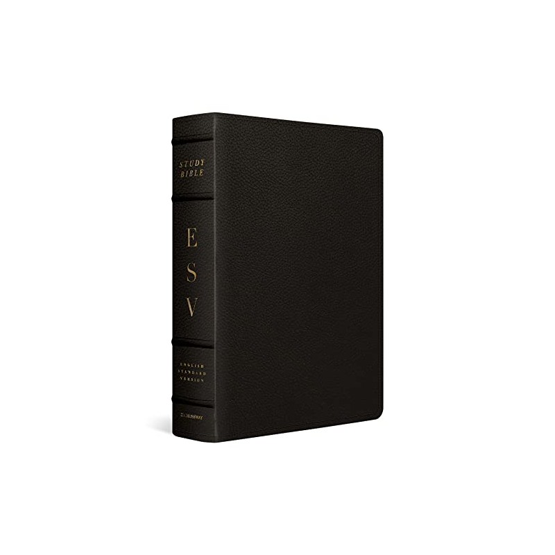 ESV Study Bible (Buffalo Leather, Deep Brown): Holy Bible, English