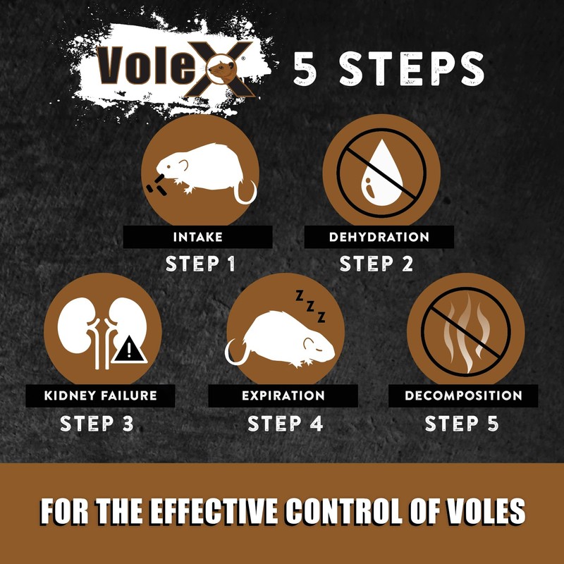 VoleX - Effective Against All Species of Voles. Safe for