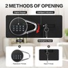 Safe for Home, 1.0 Cubic Feet Small Safe with Removable