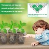 Bonviee Bonviee 10 Packs Seed Starter Tray with Elevated Lid,