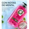 Herbal Essences Shampoo Limpieza Refrescante Pitahaya y Menta, 865 ml