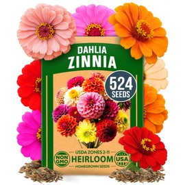 HOME GROWN Zinnia Dahlia Seeds Pack for 2026 – 524 Non GMO Flower Seeds | Vibrant Zinnia Elegans for Pollinator Gardens, Borders & Containers | Easy-to-Grow Outdoor Blooms