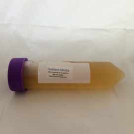 Algae Research Supply Kit Grows 5 Gallons of Spirulina, Perfect for School Science Fairs/Projects, Experiments & Classrooms