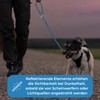 Reflective Dog Lead, 2 m, Adjustable, Weatherproof and Tear-resistant up