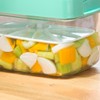 Instant Pickle Maker Vegetable Press Tsukemono Container Rectangle Made in