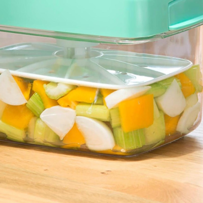 Instant Pickle Maker Vegetable Press Tsukemono Container Rectangle Made in