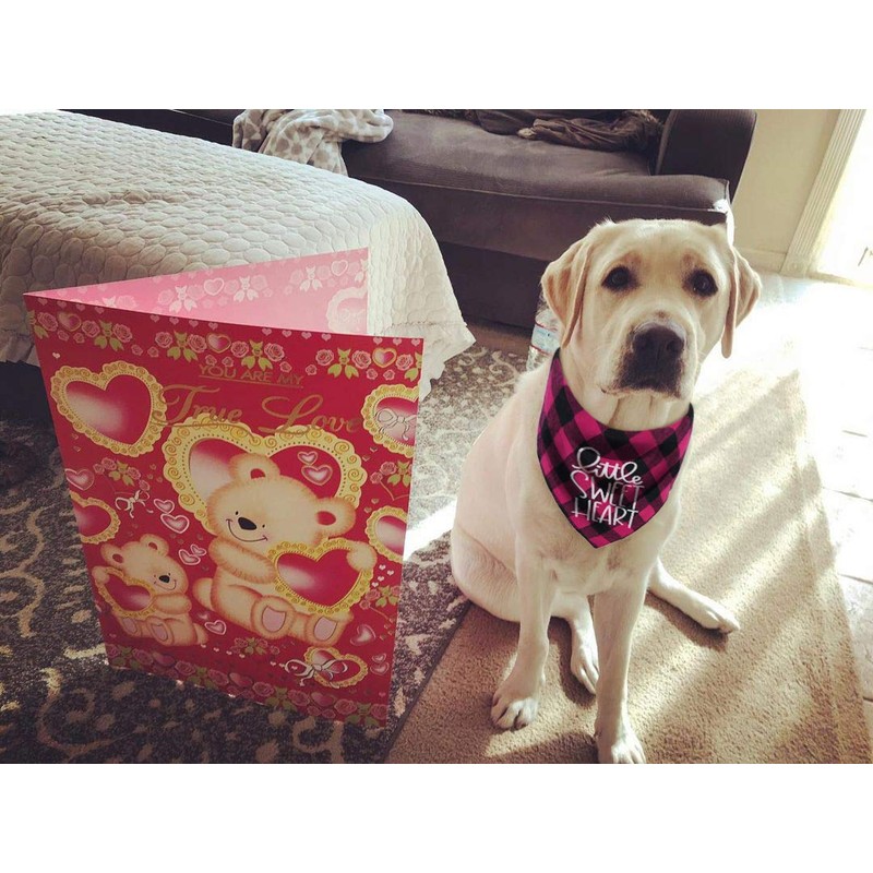 Pack of 2 Dog Bandana Valentines Day - Reversible Buffalo