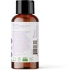 Everyone Nourishing Vanilla & Lavender Lotion, 8 FZ