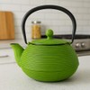 Creative Home 20 oz Cast Iron Kyusu Teapot with Stainless