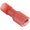 Nichifu TMEDN 480809FA Insert-Type Connection Terminal, Transparent Blue *RCL*