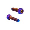 Rison Titanium Screw, M7 x 1 x 24.5 mm, M7