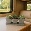 Buyitshipit Indoor Herb Garden Planter Set with Tray - Metal