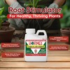 Hormex Rooting Hormone Concentrate with B1 – Root Growth Stimulator