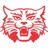 StickerTalk Wildcat Mascot Vinyl Sticker, 4.5 inches by 4 inches